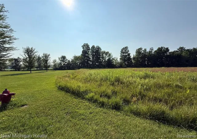 Photo 4 of Land for sale at 9807 Oak Ridge Rd, New Lothrop, MI 48460 | MLS# 60919241 | Listing updated on 2026-08-15