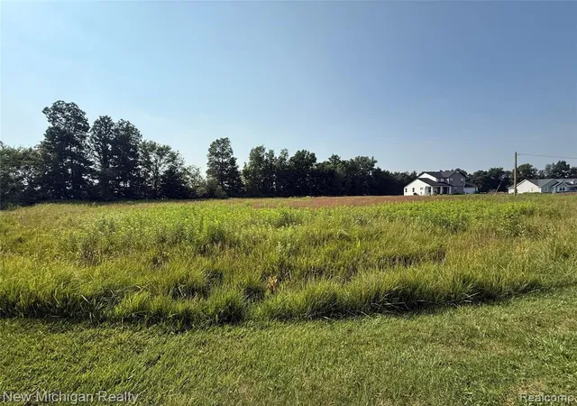 Photo 5 of Land for sale at 9807 Oak Ridge Rd, New Lothrop, MI 48460 | MLS# 60919241 | Listing updated on 2026-08-15
