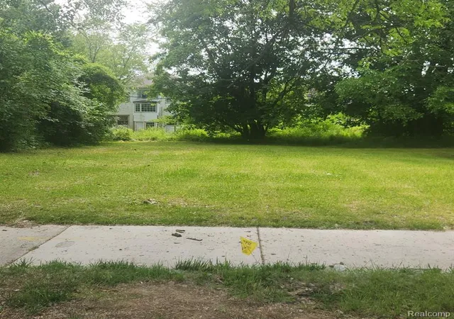 Photo 2 of Land for sale at 877 Manistique St, Detroit, MI 48215 | MLS# 60318238 | Listing updated on 2025-06-30