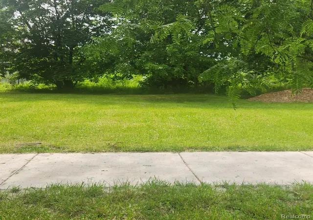 Photo 3 of Land for sale at 877 Manistique St, Detroit, MI 48215 | MLS# 60318238 | Listing updated on 2025-06-30