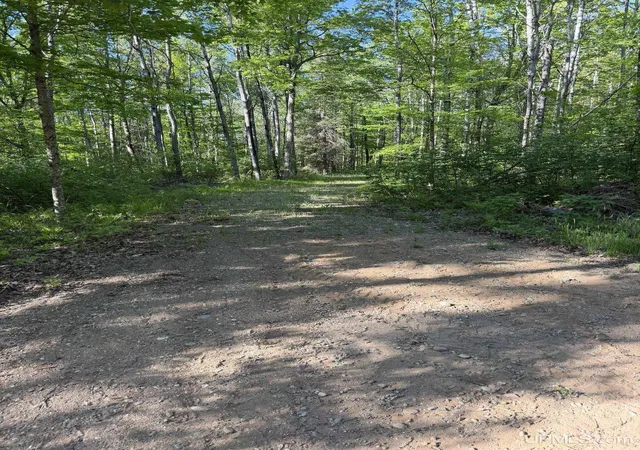 2nd image of Tbd Off Of Dream Lake Rd Lot 2 Rd, Tipler Wi, WI 54542 | MLS# 50210030