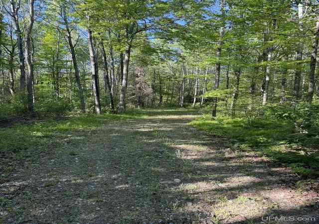 3rd image of Tbd Off Of Dream Lake Rd Lot 2 Rd, Tipler Wi, WI 54542 | MLS# 50210030