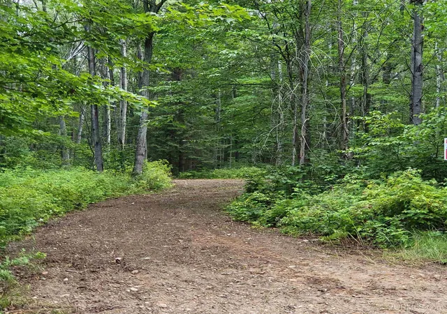 4th image of Tbd Off Of Dream Lake Rd Lot 2 Rd, Tipler Wi, WI 54542 | MLS# 50210030