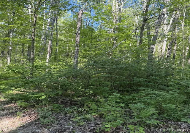 5th image of Tbd Off Of Dream Lake Rd Lot 2 Rd, Tipler Wi, WI 54542 | MLS# 50210030