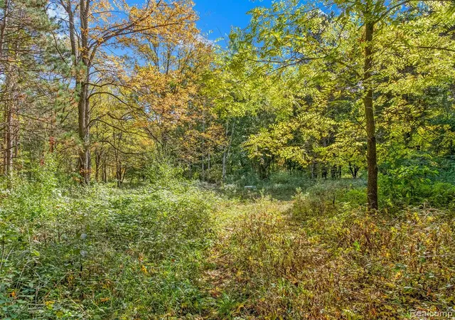20th image of 4695 Waterwood Wy, Howell, MI 48855 | MLS# 61006323
