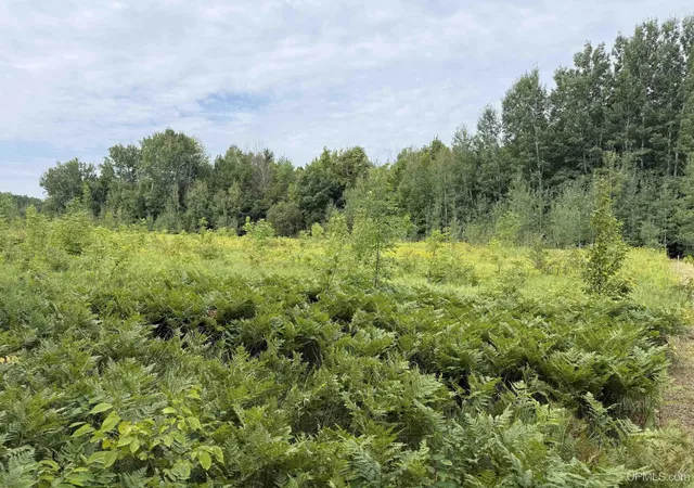 Photo 4 of Sale Pending at Tbds25 Firesteel Rd, Ontonagon, MI 49953 | MLS# 50219430 | Listing updated on 2026-09-28