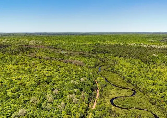 Photo 1 of Land for sale at Federal Forest Hwy 16, Iron River, MI 49935 | MLS# 70542532 | Listing updated on 2026-08-20