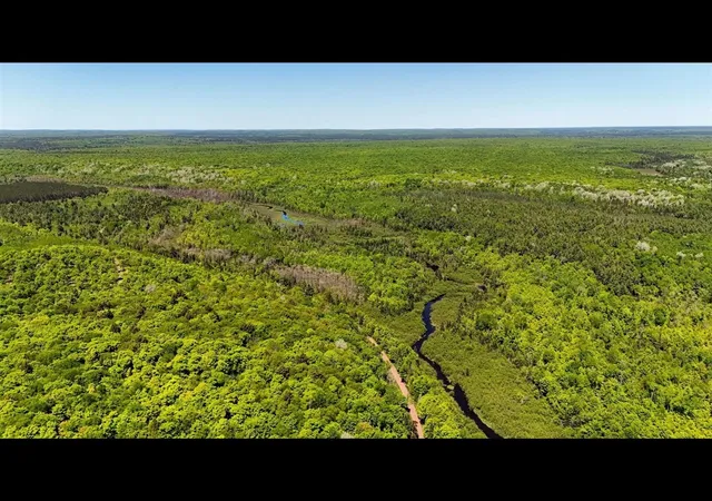 Photo 3 of Land for sale at Federal Forest Hwy 16, Iron River, MI 49935 | MLS# 70542532 | Listing updated on 2026-08-20