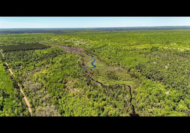 Photo 5 of Land for sale at Federal Forest Hwy 16, Iron River, MI 49935 | MLS# 70542532 | Listing updated on 2026-08-20