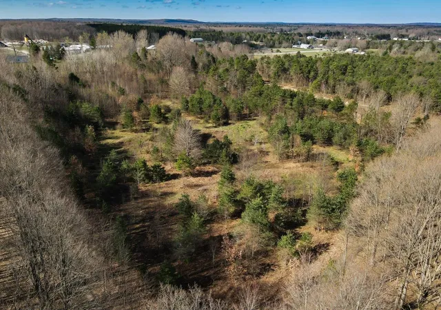 3rd image of V/L Honor Hwy, Interlochen, MI 49643 | MLS# 80070560