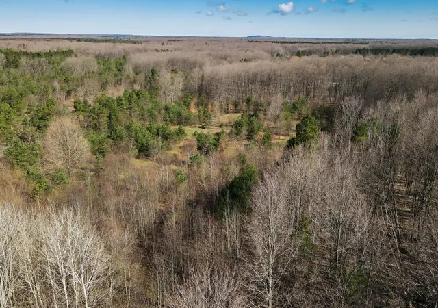 4th image of V/L Honor Hwy, Interlochen, MI 49643 | MLS# 80070560