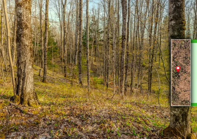 Homes for sale in Pelkie, MI | Lot 1 Horoscope Road, Pelkie, MI 49958 | MLS# 70535499