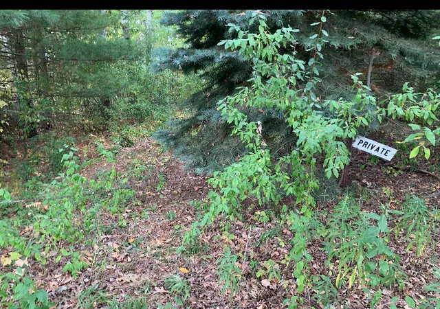 Photo 1 of Land for sale at E Rossel Lake Rd, Walkerville, MI 49459 | MLS# 70502233 | Listing updated on 2026-08-18