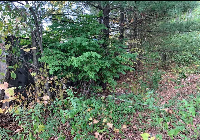 Photo 2 of Land for sale at E Rossel Lake Rd, Walkerville, MI 49459 | MLS# 70502233 | Listing updated on 2026-08-18