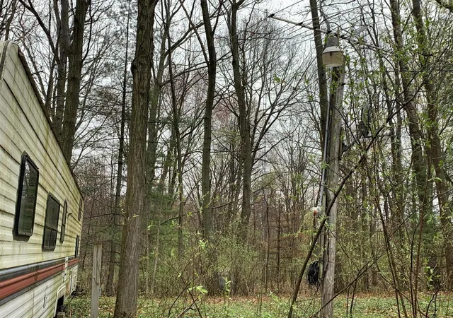 Photo 3 of Land for sale at E Rossel Lake Rd, Walkerville, MI 49459 | MLS# 70502233 | Listing updated on 2026-08-18