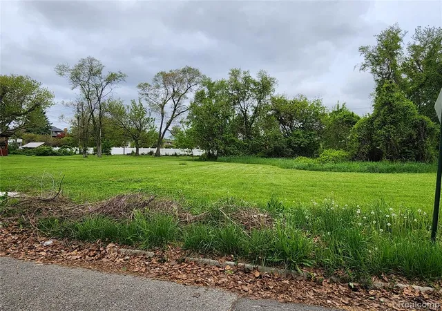 Photo 3 of Land for sale at 639 Smith St, Detroit, MI 48202 | MLS# 60398972 | Listing updated on 2026-05-27