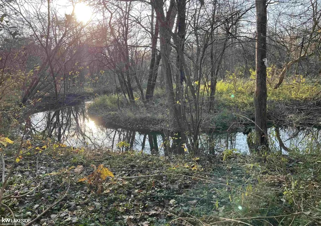 Photo 2 of Land for sale at 00 Gratiot Ave, New Haven, MI 48048 | MLS# 50108589 | Listing updated on 2025-11-17