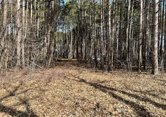 Photo 1 of Land for sale at 9047 Pineview River Dr, Linden, MI 48451 | MLS# 61024338 | Listing updated on 2026-08-31