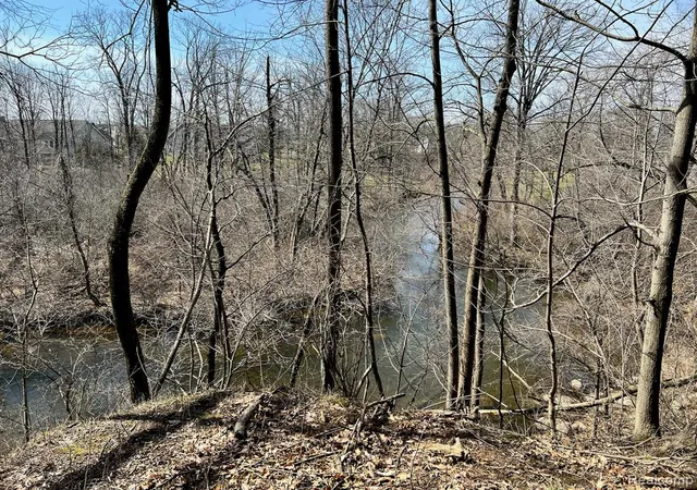 Photo 3 of Land for sale at 9047 Pineview River Dr, Linden, MI 48451 | MLS# 61024338 | Listing updated on 2026-08-31