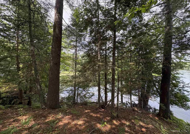 Photo 34 of Single family home for sale at 10282 East Rd, Republic, MI 49879 | MLS# 50215309 | Listing updated on 2026-08-13