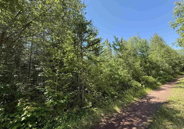 Homes for sale in Gwinn, MI | 14 Acress Off S Bobs Creek Truck Trl, Gwinn, MI 49841 | MLS# 50213158