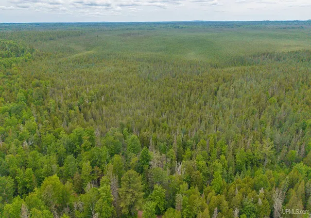 Photo 3 of Land for sale at 14 Acress Off Bobs Crk Truck Trl, Gwinn, MI 49841 | MLS# 50213158 | Listing updated on 2026-08-05