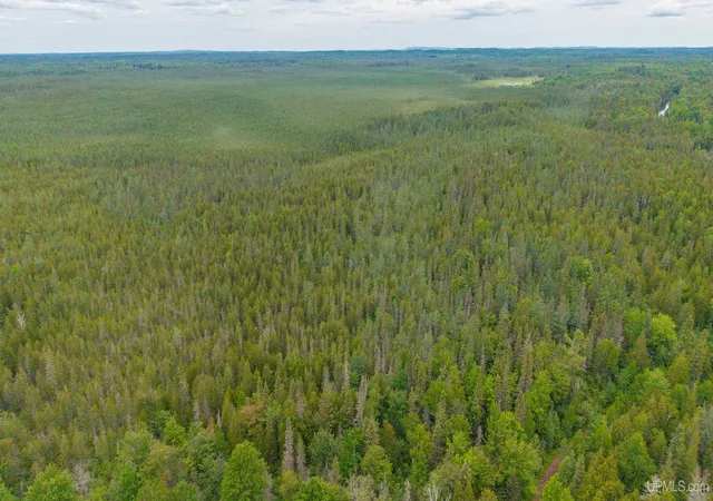 Photo 4 of Land for sale at 14 Acress Off Bobs Crk Truck Trl, Gwinn, MI 49841 | MLS# 50213158 | Listing updated on 2026-08-05