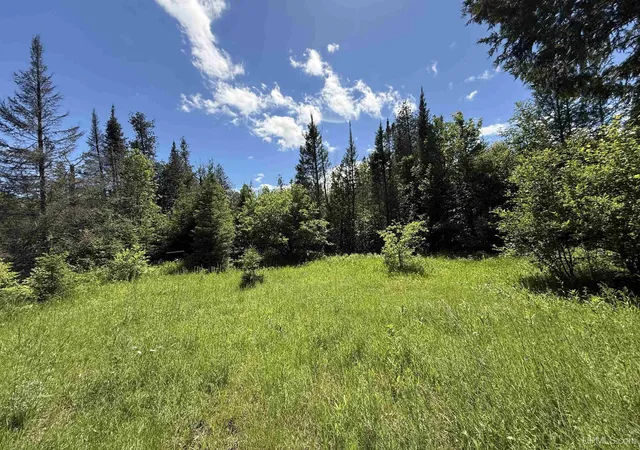 Photo 5 of Land for sale at 14 Acress Off Bobs Crk Truck Trl, Gwinn, MI 49841 | MLS# 50213158 | Listing updated on 2026-08-05