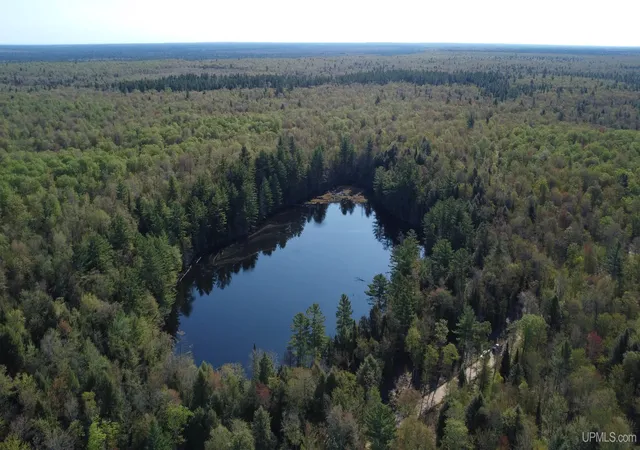 Homes for sale in Newberry, MI | On Wolf Lake Rd, Newberry, MI 49868 | MLS# 50209416