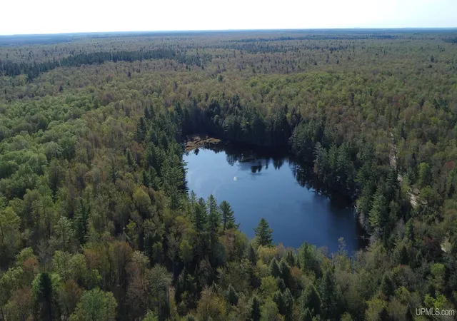 Homes for sale in Newberry, MI | On Wolf Lake Rd, Newberry, MI 49868 | MLS# 50209416