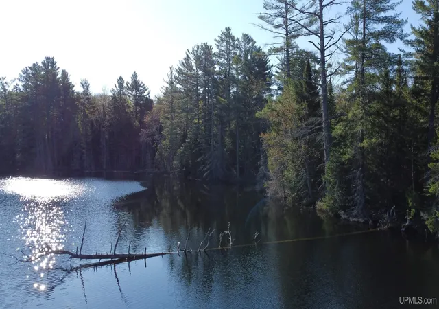 Homes for sale in Newberry, MI | On Wolf Lake Rd, Newberry, MI 49868 | MLS# 50209416