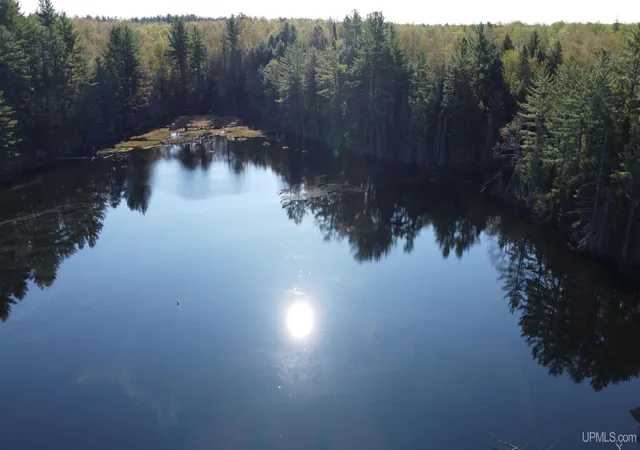 Homes for sale in Newberry, MI | On Wolf Lake Rd, Newberry, MI 49868 | MLS# 50209416