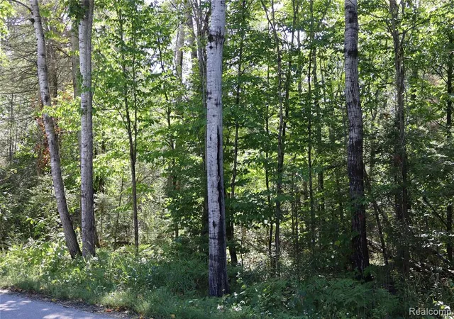 Photo 3 of Land for sale at 34606 S South Maxton Cross Road, Drummond, MI 49726 | MLS# 61025687 | Listing updated on 2026-08-29