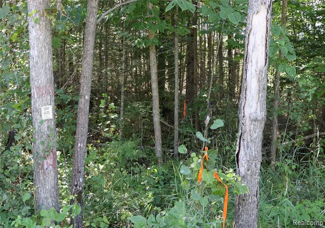 Photo 4 of Land for sale at 34606 S South Maxton Cross Road, Drummond, MI 49726 | MLS# 61025687 | Listing updated on 2026-08-29