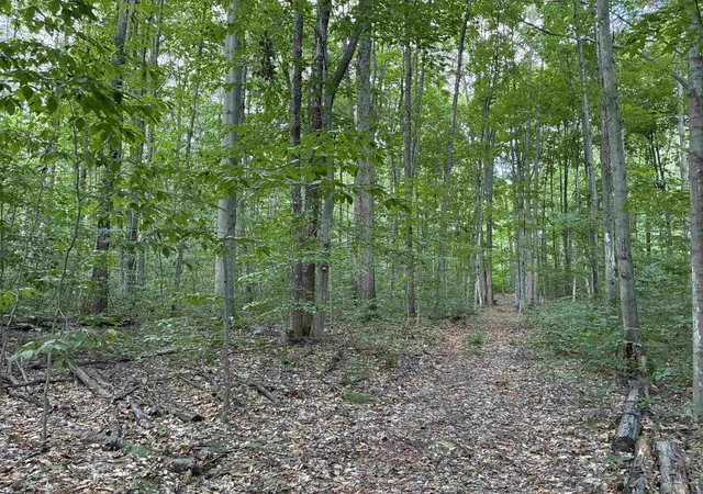 Photo 3 of Sale Pending at Emmett’S Trl, Lake Ann, MI 49650 | MLS# 80072831 | Listing updated on 2026-09-09