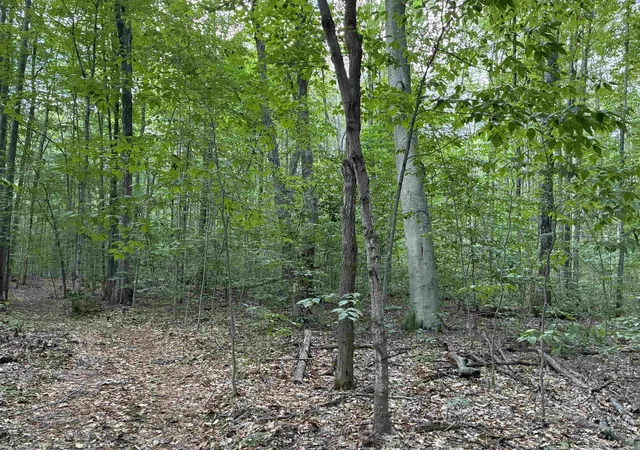 Photo 4 of Sale Pending at Emmett’S Trl, Lake Ann, MI 49650 | MLS# 80072831 | Listing updated on 2026-09-09