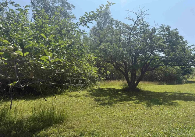 Photo 4 of Land for sale at 6+ Acres Pakkala Rd, Crystal Falls, MI 49920 | MLS# 50217047 | Listing updated on 2026-10-07