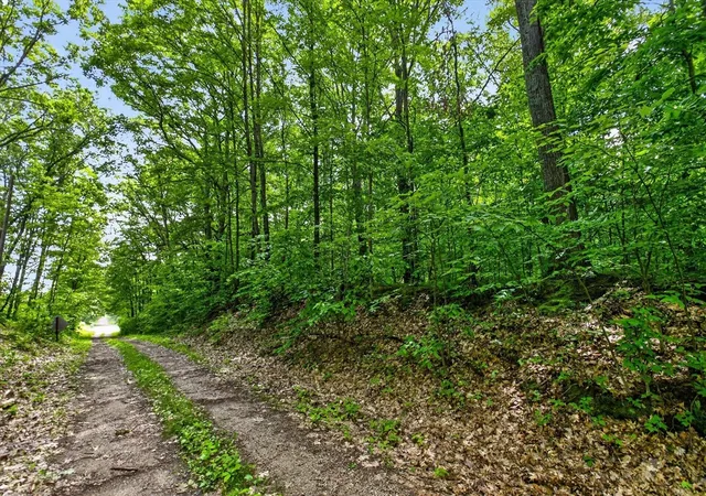 Homes for sale in Reed City, MI | V/L E 24Th St, Reed City, MI 49677 | MLS# 70540208