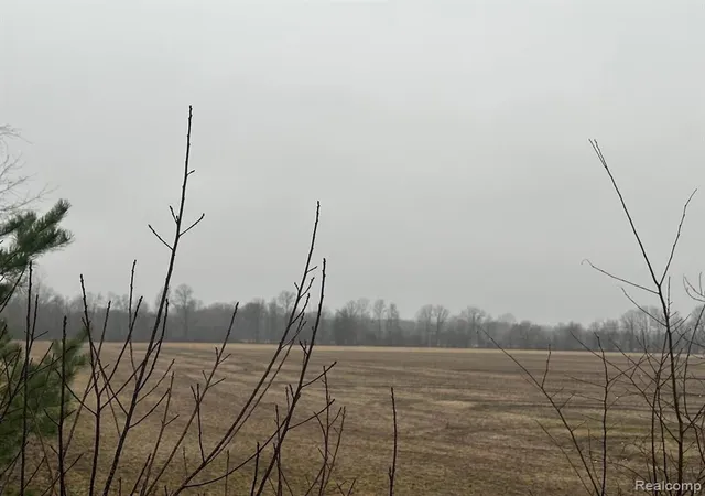 Homes for sale in Ray, MI | 0000 Romeo Plank Rd, Ray, MI 48096 | MLS# 60940654