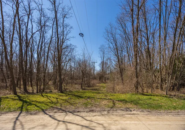 Photo 2 of Land for sale at 00000 Jennings Rd, Whitmore Lake, MI 48189 | MLS# 70516009 | Listing updated on 2026-08-17