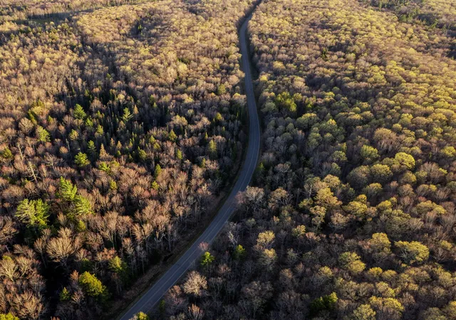 Photo 2 of Land for sale at Lot 5 Federal Forest Hwy 16, Iron River, MI 49935 | MLS# 70534092 | Listing updated on 2026-08-25