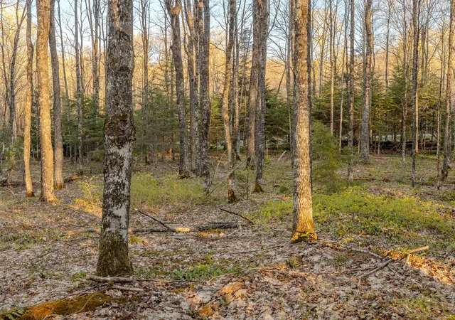 Photo 5 of Land for sale at Lot 5 Federal Forest Hwy 16, Iron River, MI 49935 | MLS# 70534092 | Listing updated on 2026-08-25