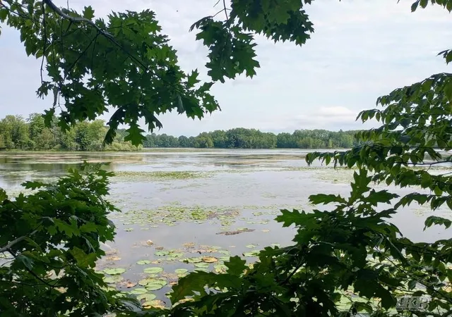 Land for sale at Unit 11 Deer Run, Gladwin, MI 48624 | MLS# 50218953