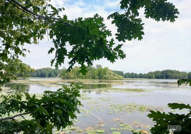 Photo 2 of Land for sale at Unit 11 Deer Run, Gladwin, MI 48624 | MLS# 50218953 | Listing updated on 2026-08-18