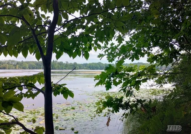 Photo 3 of Land for sale at Unit 11 Deer Run, Gladwin, MI 48624 | MLS# 50218953 | Listing updated on 2026-08-18