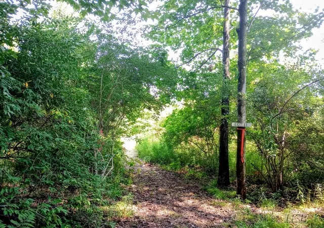 Photo 4 of Land for sale at Unit 11 Deer Run, Gladwin, MI 48624 | MLS# 50218953 | Listing updated on 2026-08-18