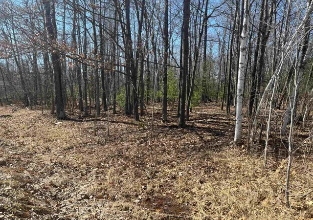 Photo 1 of Sale Pending at Pineway Dr, Gladwin, MI 48624 | MLS# 50210337 | Listing updated on 2026-08-05