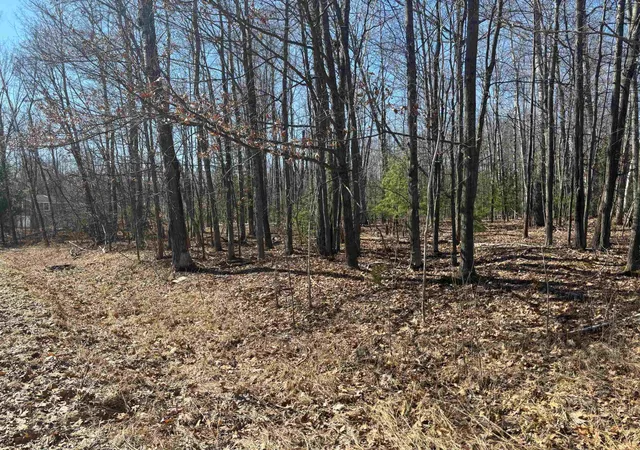 Photo 2 of Sale Pending at Pineway Dr, Gladwin, MI 48624 | MLS# 50210337 | Listing updated on 2026-08-05