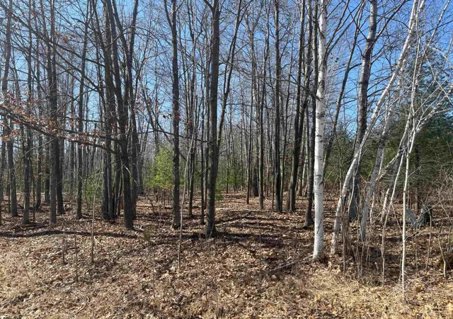 Photo 3 of Sale Pending at Pineway Dr, Gladwin, MI 48624 | MLS# 50210337 | Listing updated on 2026-08-05
