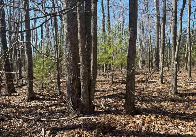 Photo 4 of Sale Pending at Pineway Dr, Gladwin, MI 48624 | MLS# 50210337 | Listing updated on 2026-08-05